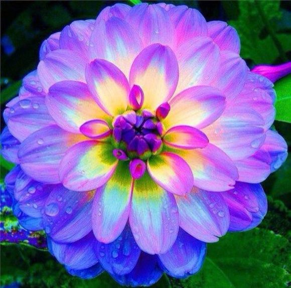 ramirem611278